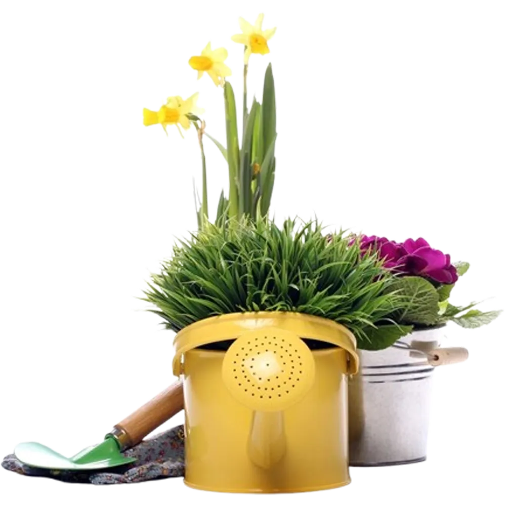 Custom Chemical Blend