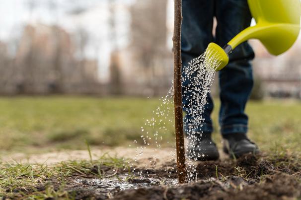 Production of various agricultural, household, livestock pesticides, fertilizers and emulsified oils