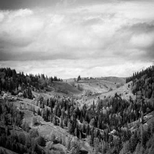 Dr. Mohammad Hosseini